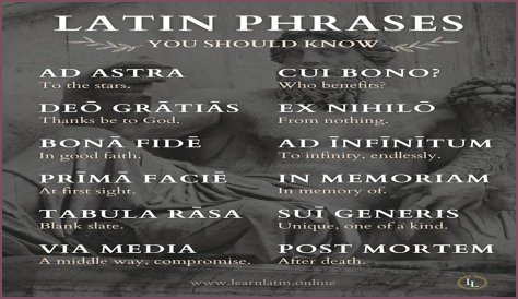 A Profile Of A Latin Beauty